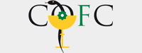 Logo Colegio Oficial de Farmacéuticos de Cuenca